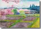 cނƍRi 